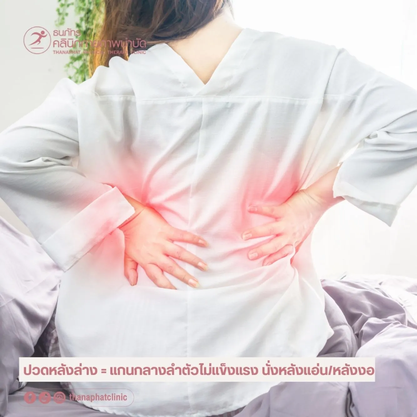 ออฟฟิสซินโดรม ปวดหลังล่าง ออฟฟิสซินโดรม ปวดหลังล่าง